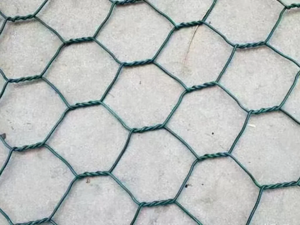 Green PVC-coated double-twist hexagonal mesh