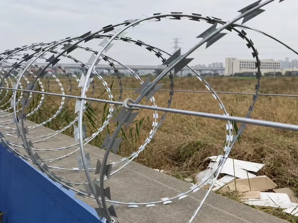 Concertina razor wire installed along the top of a boundary wall
