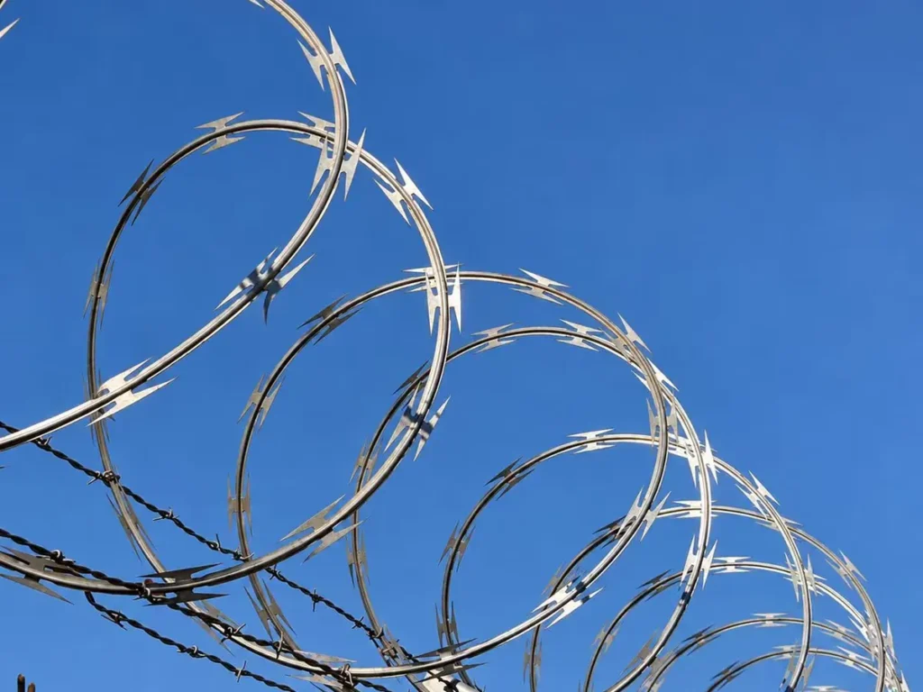 Razor wire coils with barbed wire on top of a chain link fence